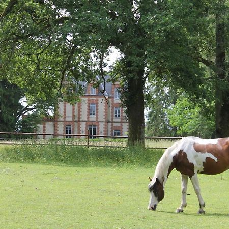 Chateau De Beauchene Chambres D'Hotes Allogny Kültér fotó