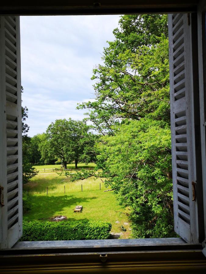 Chateau De Beauchene Chambres D'Hotes Allogny Kültér fotó