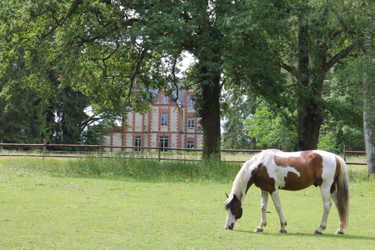 Chateau De Beauchene Chambres D'Hotes Allogny Kültér fotó